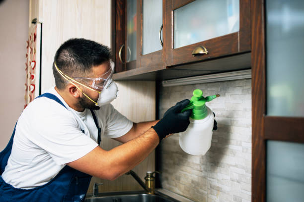 Best Exterminator Services  in Elsa, TX