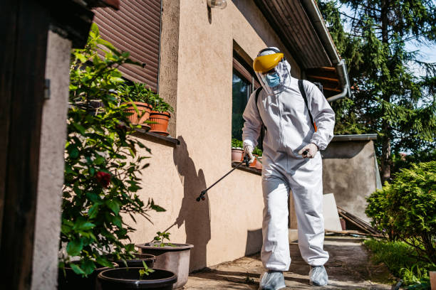 Trusted Elsa, TX Pest Control Experts