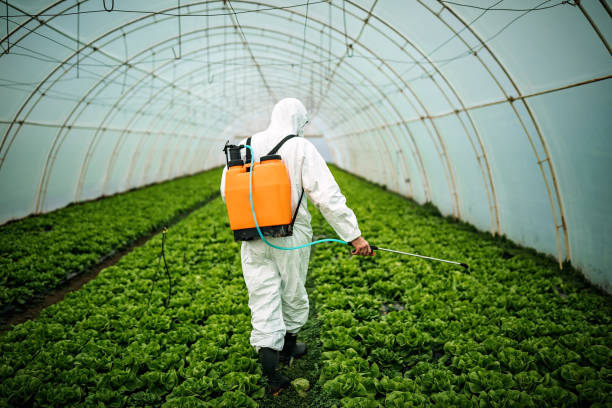 Best Commercial Pest Control Services  in Elsa, TX
