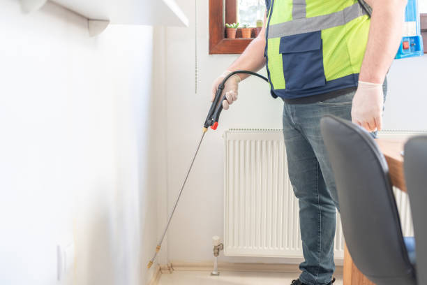 Best Pest Removal Services  in Elsa, TX