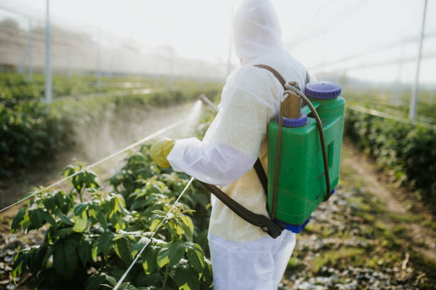 Best Wildlife Control Services  in Elsa, TX